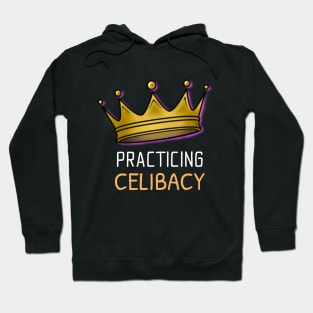 Practicing Celibacy Hoodie